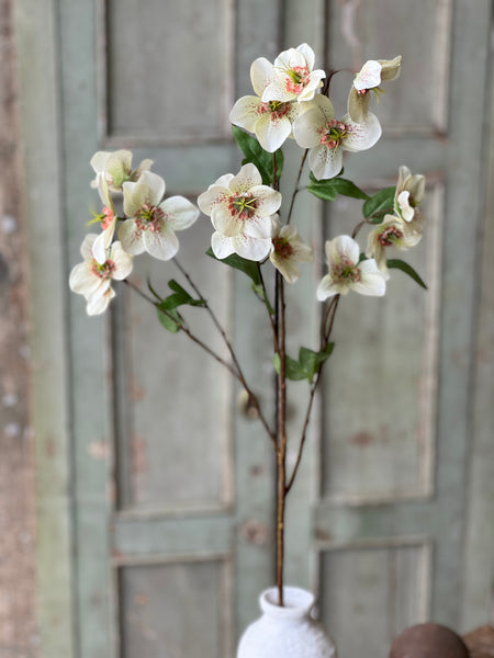 Lenten Boughs Spray | 39" | Dapple