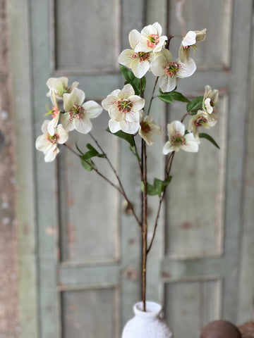 Lenten Boughs Spray | 39" | Dapple