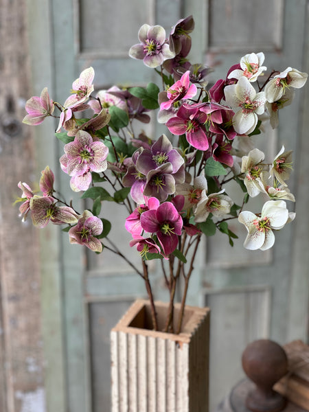Lenten Boughs Spray | 39" | Dapple