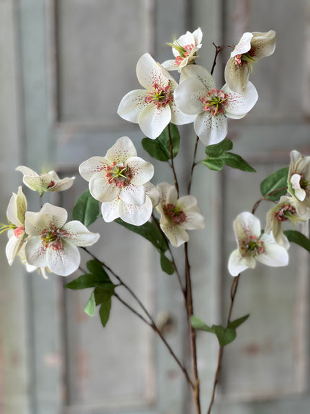 Lenten Boughs Spray | 39" | Dapple