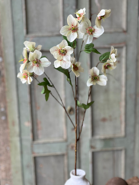 Lenten Boughs Spray | 39" | Dapple