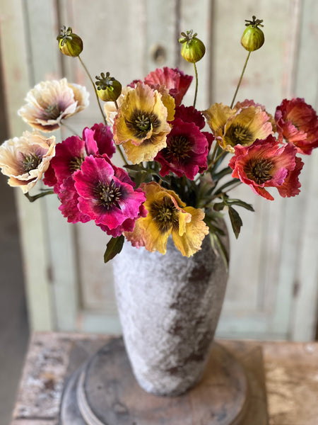 Winning Streak Poppy | 26.5" | Beauty | NOT CURRENTLY IN STOCK - Spring 2026