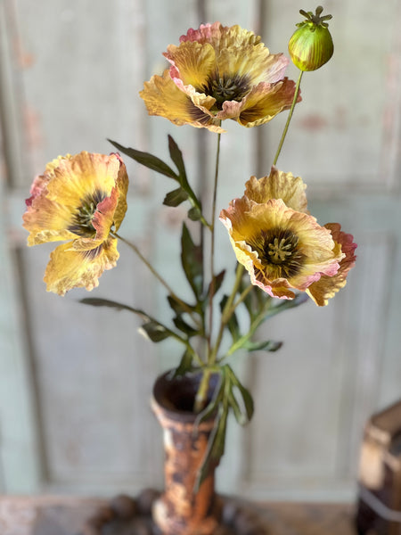 Winning Streak Poppy | 26.5" | Mello | NOT CURRENTLY IN STOCK - Spring 2026