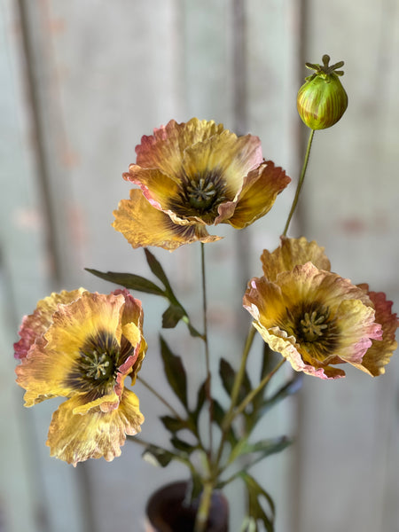 Winning Streak Poppy | 26.5" | Mello | NOT CURRENTLY IN STOCK - Spring 2026