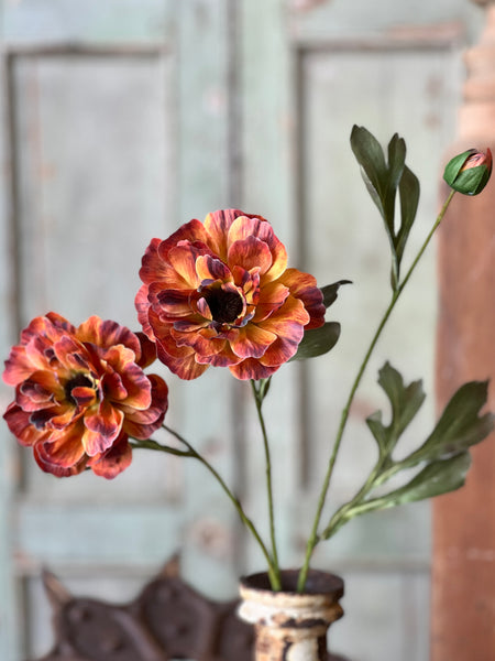 Fanfare Blooms | 22.5" | Inferno