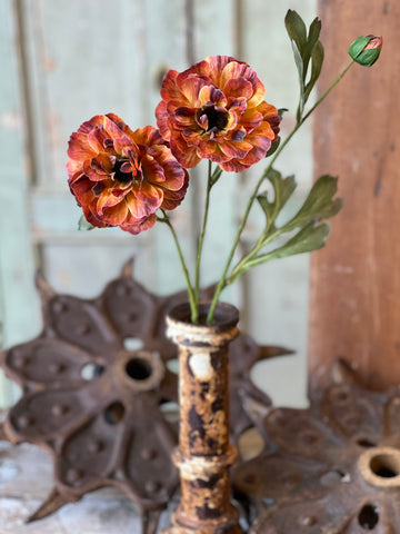 Fanfare Blooms | 22.5" | Inferno