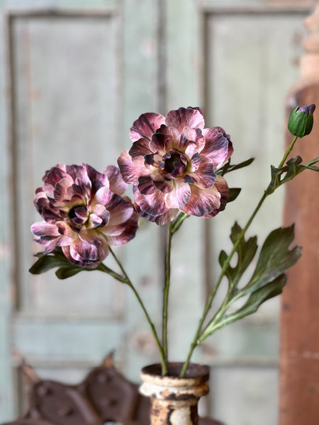 Fanfare Blooms | 22.5" | Dreamy