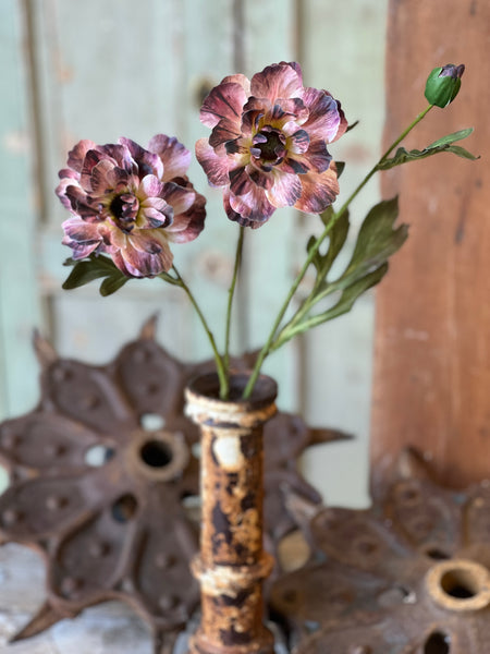 Fanfare Blooms | 22.5" | Dreamy