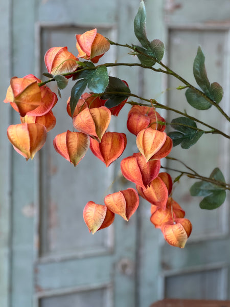 Pendent Spray | 38" | Flame | SOLD OUT