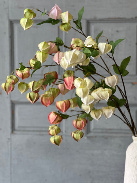 Gondala Buds Spray | 38" | Blush