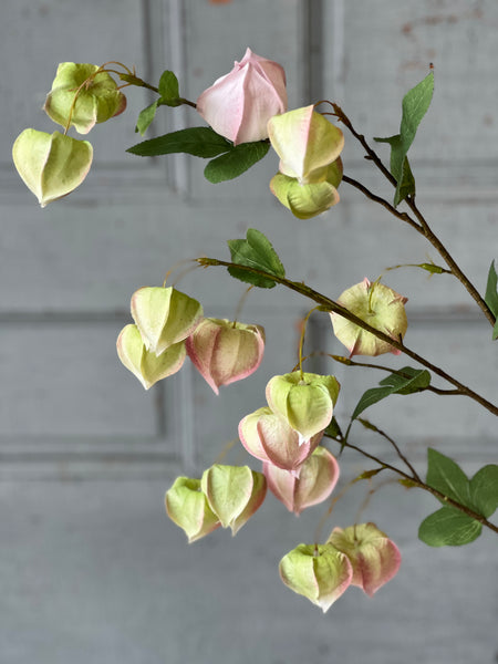 Gondala Buds Spray | 38" | Blush