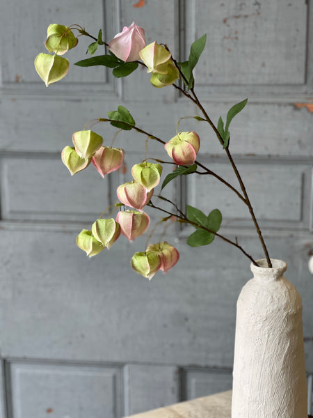 Gondala Buds Spray | 38" | Blush