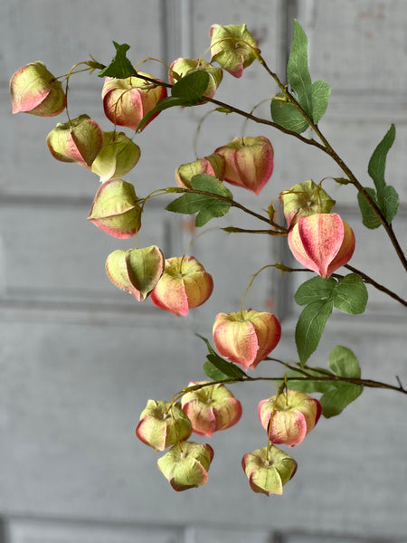 Gondala Buds Spray | 38" | Charm | Limited Stock - Last 24pcs  (will be discontinued for Spring 2026)