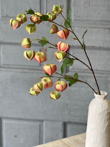 Gondala Buds Spray | 38" | Charm | Limited Stock - Last 24pcs  (will be discontinued for Spring 2026)