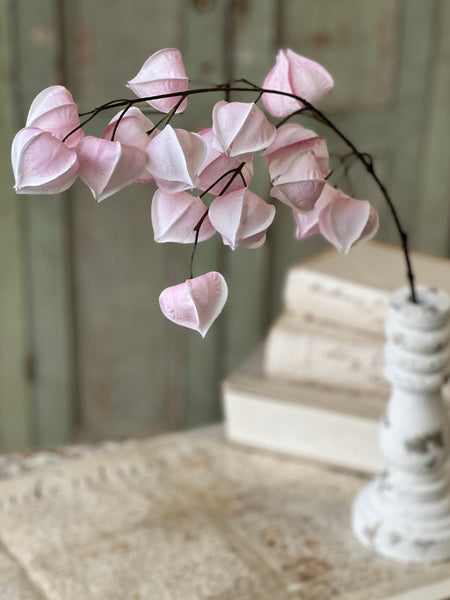 Swooning Buds Spray | 28"