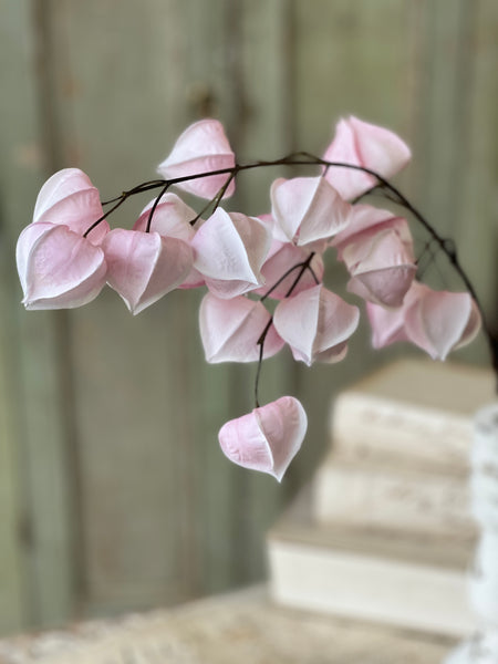 Swooning Buds Spray | 28"