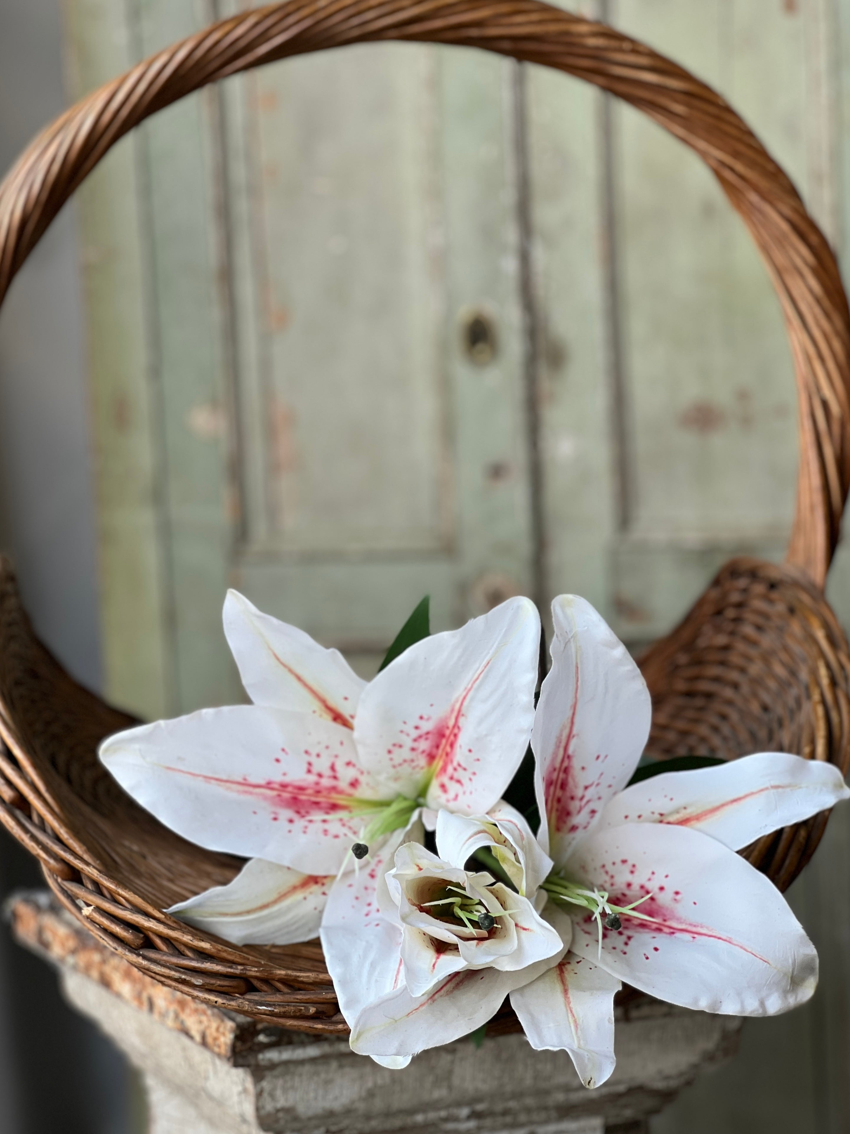 white lily spray Eden Lily Spray | 40" | Blanca