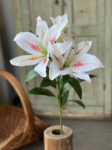 Eden Lily Spray | 40" | Blanca | NOT CURRENTLY IN STOCK-New For Spring 2026!