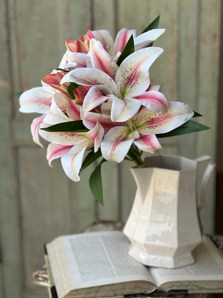 Eden Lily Bundle | 20" | Blanca | NOT CURRENTLY IN STOCK-New For Spring 2026!