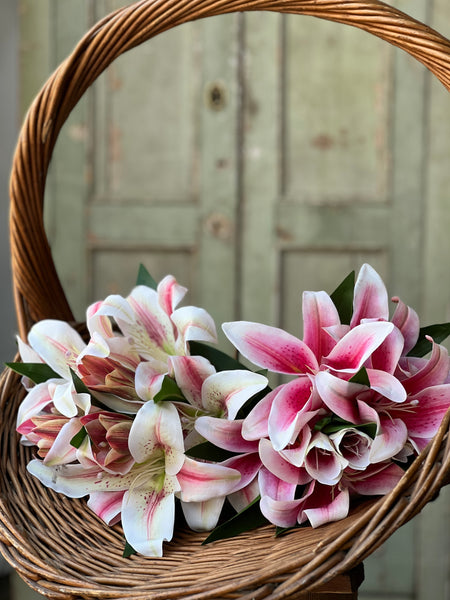 Eden Lily Bundle | 20" | Blanca | NOT CURRENTLY IN STOCK-New For Spring 2026!