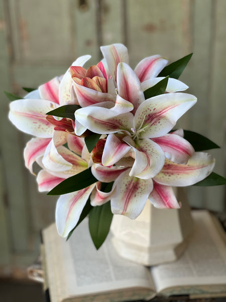 Eden Lily Bundle | 20" | Blanca | NOT CURRENTLY IN STOCK-New For Spring 2026!