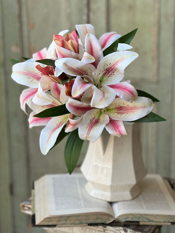 Eden Lily Bundle | 20" | Blanca | NOT CURRENTLY IN STOCK-New For Spring 2026!