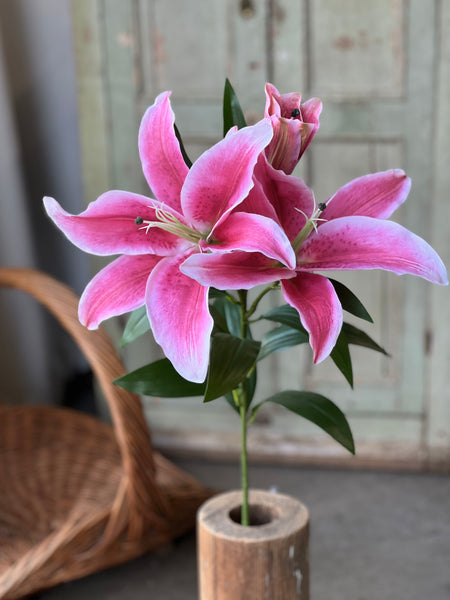 Eden Lily Spray | 40" | Stargazer | NOT CURRENTLY IN STOCK-New For Spring 2026!