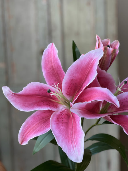Eden Lily Spray | 40" | Stargazer | NOT CURRENTLY IN STOCK-New For Spring 2026!