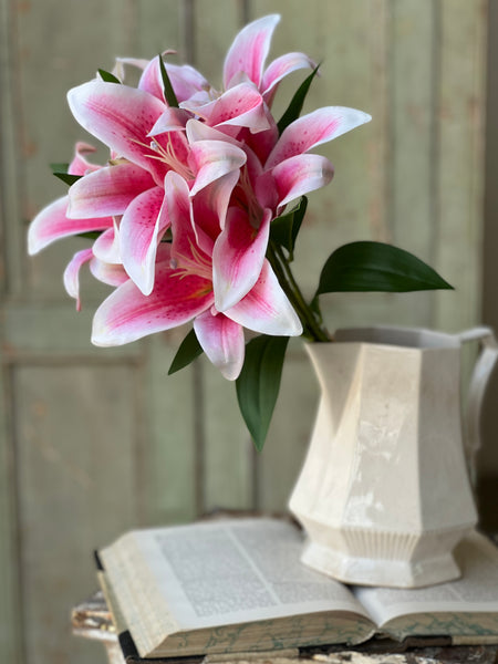 Eden Lily Bundle | 20" | Stargazer | NOT CURRENTLY IN STOCK-New For Spring 2026!