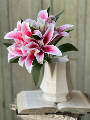 Eden Lily Bundle | 20" | Stargazer | NOT CURRENTLY IN STOCK-New For Spring 2026!