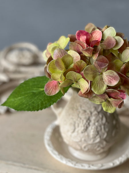 Sanibel Hydrangea | 9.5" | Awakening | NOT CURRENTLY IN STOCK-New For Spring 2026!