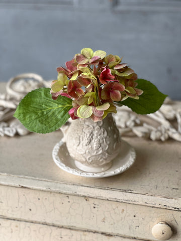 Sanibel Hydrangea | 9.5" | Awakening | NOT CURRENTLY IN STOCK-New For Spring 2026!