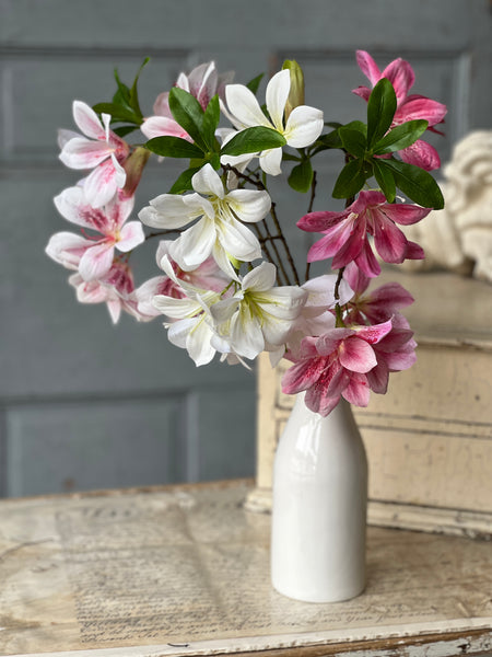 Adeline Azalea | 20" | Cream | NOT CURRENTLY IN STOCK-New For Spring 2026!