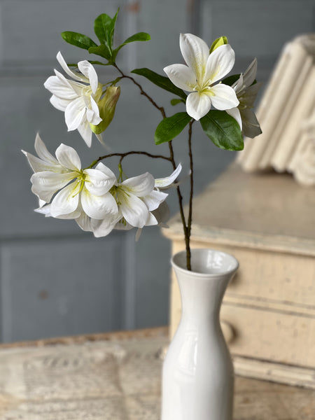 Adeline Azalea | 20" | Cream | NOT CURRENTLY IN STOCK-New For Spring 2026!