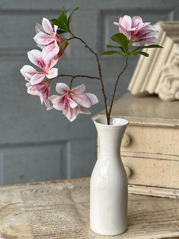 Adeline Azalea | 20" | First Blush | NOT CURRENTLY IN STOCK-New For Spring 2026!