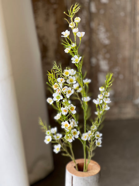 Pleasance Blooms | 32" | Cream | NOT CURRENTLY IN STOCK-New For Spring 2026!