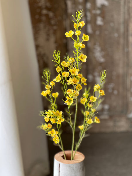 Pleasance Blooms | 32" | Yellow | NOT CURRENTLY IN STOCK-New For Spring 2026!