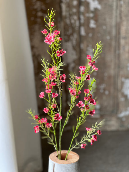 Pleasance Blooms | 32" | Carmine | NOT CURRENTLY IN STOCK-New For Spring 2026!