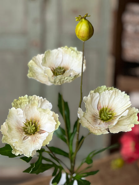 Rialto Poppies |27" | Fresh | NOT CURRENTLY IN STOCK-New For Spring 2026!