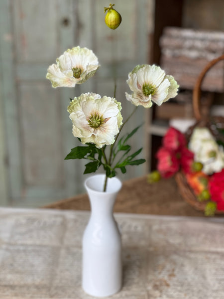 Rialto Poppies |27" | Fresh | NOT CURRENTLY IN STOCK-New For Spring 2026!