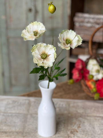 Rialto Poppies |27" | Fresh | NOT CURRENTLY IN STOCK-New For Spring 2026!