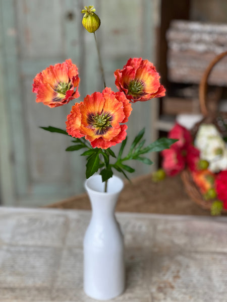 Rialto Poppies | 27" | Oriole | NOT CURRENTLY IN STOCK-New For Spring 2026!