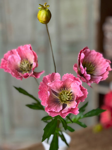 Rialto Poppies | 27" | Posy | NOT CURRENTLY IN STOCK-New For Spring 2026!