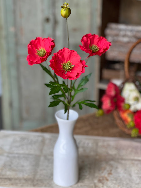 Rialto Poppies | 27" | Redden | NOT CURRENTLY IN STOCK-New For Spring 2026!