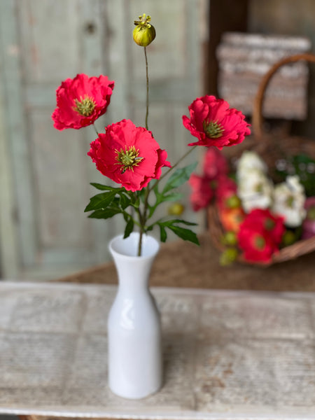 Rialto Poppies | 27" | Redden | NOT CURRENTLY IN STOCK-New For Spring 2026!