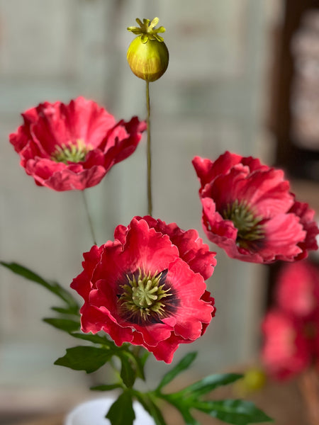 Rialto Poppies | 27" | Flickering | NOT CURRENTLY IN STOCK-New For Spring 2026!