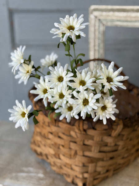 Shyla Daisy Bush | 22" | Cream | NOT CURRENTLY IN STOCK-New For Spring 2027!