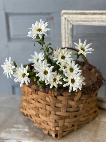 Shyla Daisy Bush | 22" | Cream | NOT CURRENTLY IN STOCK-New For Spring 2027!