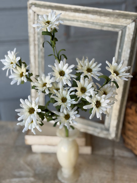 Shyla Daisy Bush | 22" | Cream | NOT CURRENTLY IN STOCK-New For Spring 2027!