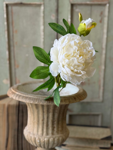 Bequest Peony | 24" | Cream | NOT CURRENTLY IN STOCK-New For Spring 2027!